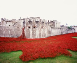 everydaydude:  Tower of London London, UK | 2014