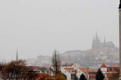 vergen:  moviereference:  A snowy day in Prague  my best friend’s