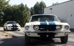 americanmusclepower:  1967 Shelby Ford Mustang GT500 VS 2010