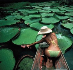 kissmyblackazz:   Adventurous Black girl moodboard  