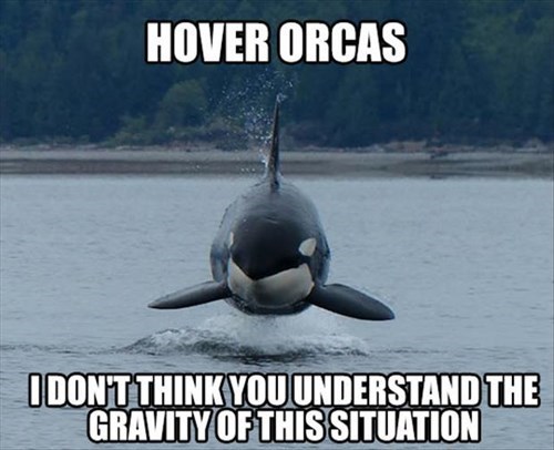 Beware of flying cetaceans