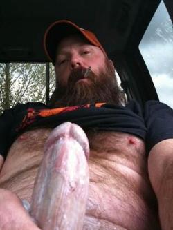 StelviObeaR