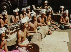   Balinese musicians, from David Attenborough’s Zoo Quest