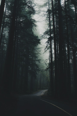 envyavenue:Lost in a Dream by Zachary Snellenberger.