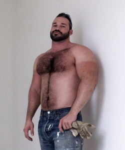 bearcolors:  More photos of hot beefy hairy men follow me http://bearcolors.tumblr.com
