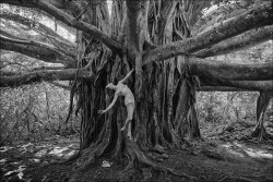 ballerinaproject:  Isabella - Pipiwai Trail, Maui Swimsuit by Norma