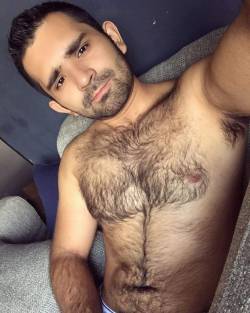 BEAR_HAIRY