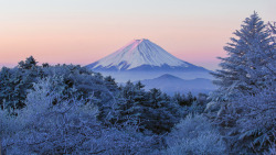 1l1l: 富士山冬色 Mt Fuji winter color,  Eagle’s eyes 