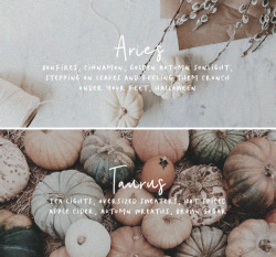 cruvcio:The signs as fall aesthetics   🍁 // (info)