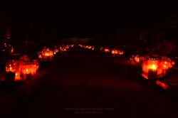 gothnrollx:  Graveyard at night. by ~xTernal7
