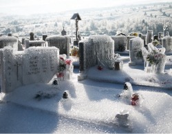 sixpenceee:This graveyard is located in Slovenia. It looks frozen