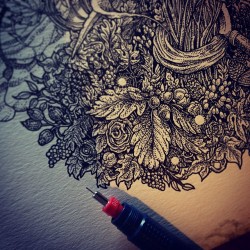 richeybeckett:  Foliage. Ink on paper. 