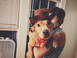 mvrdrvm:  Friday is for cowboy dogs.   9/18/15 Grand Rapids,