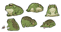 thejohnsu: be a frog