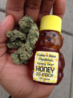 hiwazowskiadventures:Honey & Haze 👌