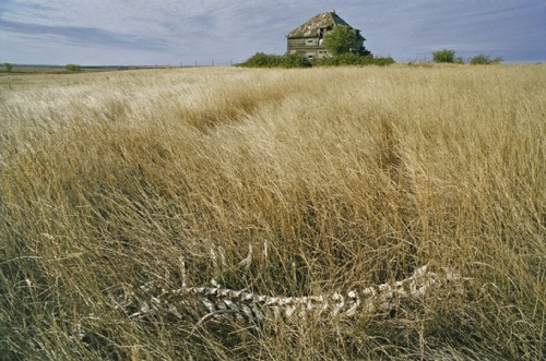 jesuisgourde:Eugene Richards for “The Emptied Prairie” National