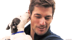 jimi-paradise:  (via David Gandy e i cani…) 