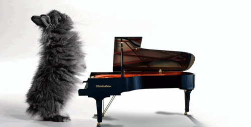 coco-n-pipi:  im plaing piano 