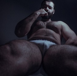 akenoo:  strongbearsbr:  ​​I’m back. Follow @STRONGBEARSBR