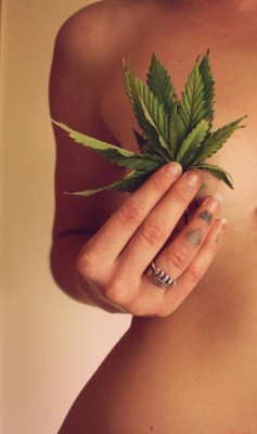 folha-de-maconha:  Instagram