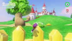 turniprincess: HEY IT’S THE TREE/SCENE FROM SUPER MARIO 3D
