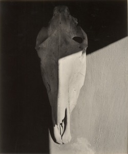 regardintemporel:  W. Eugene Smith - Skull, New Mexico, 1947