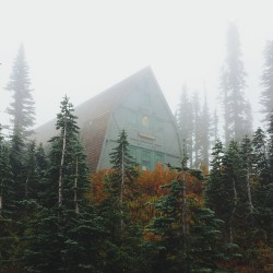 betomad:  autumn’s covered all. photo by j_efterfield