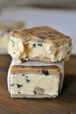 shop-blvck-nostalgia:   chocolate chip cookie dough ice cream