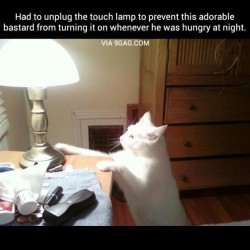 9gag:  He’s so smart and evil 