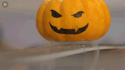 maeamian:  did-you-kno:  ri-science:  LEVITATING PUMPKINS! “And