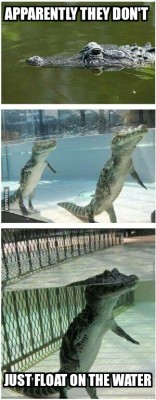 Fucking water dinosaurs