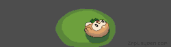 zaplayden:  Rowlet rolling around. 