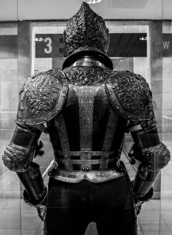 paxtonfearless:  The Lion Armour, Royal Armouries Museum, Leeds