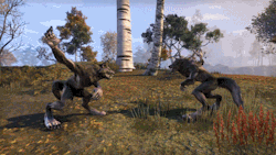 one-for-the-pact:  High five!:D Gif made by Irruarâ€™Nirr the awesome Khajiit. Ð werewolf on the left is me.