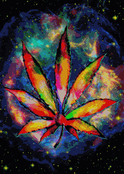 420kushmobile:  Marijuana leaf