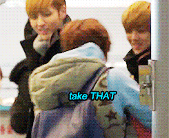fyxiuhan:       — baozi strikes back —luhan is outraged,