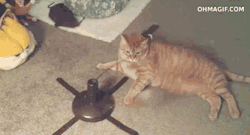 CATANIST