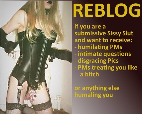 slut-for-sissies:  mandy-sydney-world:  Ask Away  Like my blog says… I’m a humiliation pig.   yes please