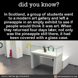 did-you-kno:  In Scotland, a group of students went  to a modern