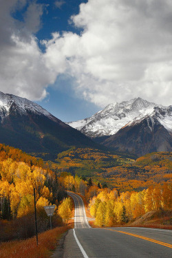 chxnnelorange:  Colorado Autumn | via Tumblr sur We Heart It.
