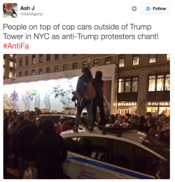 drinkyourfuckingmilk:  invaderxan:Protests across at least 7