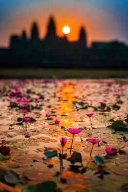 plasmatics:  Angkor Wat By François Marclay 