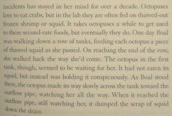 fat-pony-of-the-horse-mafia: Cephalopods have had enough of your