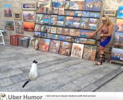 omg-pictures:  Spotted a lady in Dubrovnik teaching this cat