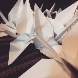 freshiejuice:  Just casually making a shit ton of papercranes