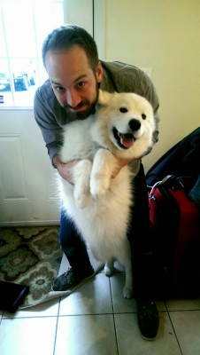 buffythesamoyed:  My uncle human is here for a visit!