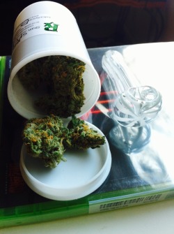 bowlsbeersandborderlands:  5 grams of SFV Blue Dream and a new