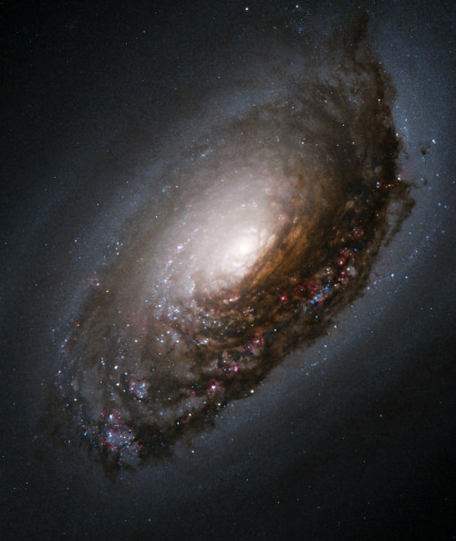 space-pics:  M64 by NASA Hubble