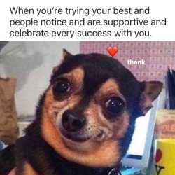 Wholesome Memes