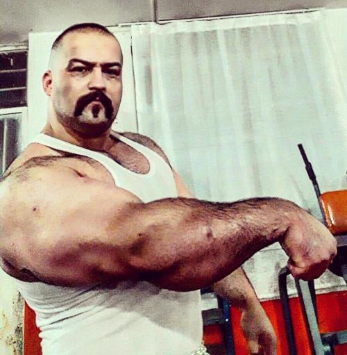 OOfah Papa ♂♂